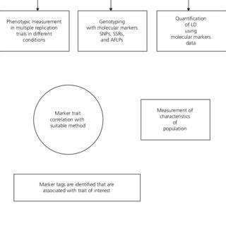 Image result for Association Mapping Applications