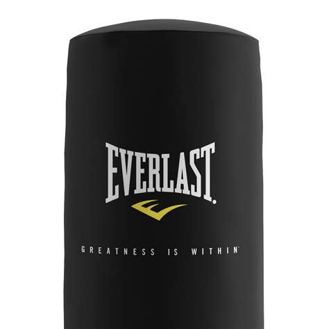 Everlast Punching Bag Freestanding