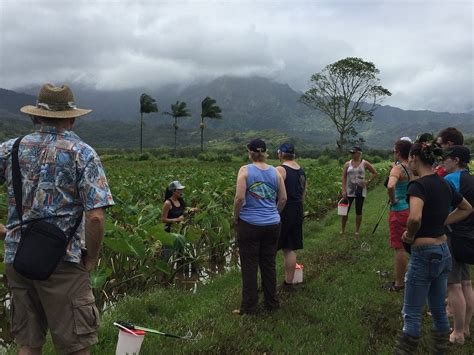 HO`OPULAPULA HARAGUCHI RICE MILL (2026) All You Need to Know BEFORE You ...