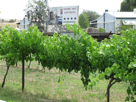 Stone Hut Cottages Kitchenettes: Pictures & Reviews - Tripadvisor