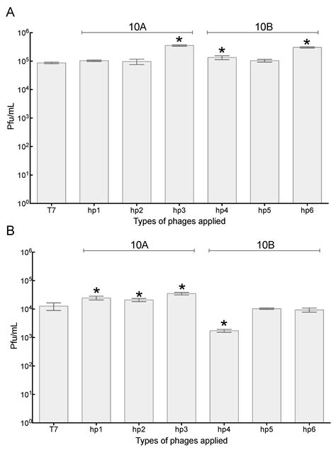 Modification of Bacteriophages to Increase Their Association with Lung ...