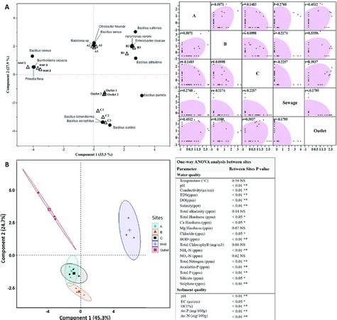 PCA in Biostatistics 的图像结果
