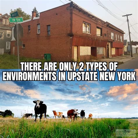 life in upstate new york : r/meme