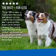 Buy Adams Plus Flea & Tick Prevention Spot On for Dogs, X-Large Dogs 61 ...