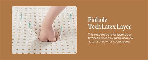 SleepyCat Latex Ortho Mattress | Firm Pinhole Latex Mattress for Back ...