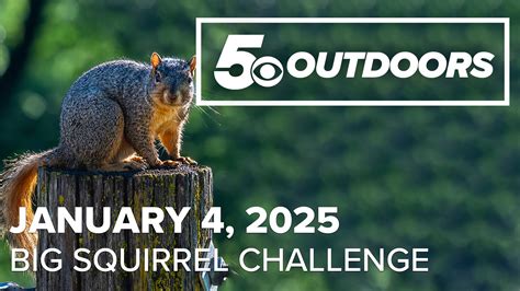 The Big Squirrel Challenge returns to Arkansas | 5newsonline.com