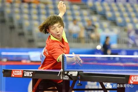 2018乒乓球公开赛中国队包揽冠军 _热点新闻_图片频道_齐鲁网