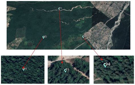 Remote Sensing | Special Issue : Earth Observation in Forest ...