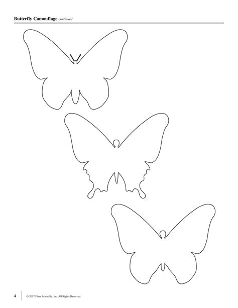Free Printable Butterfly Templates [PDF] Blank