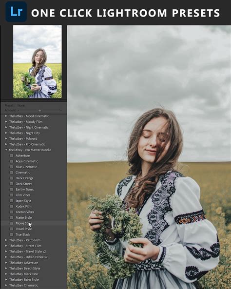 Thelutbay Lightroom Presets Studio