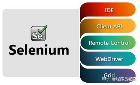 Tech with Tim Selenium 的图像结果