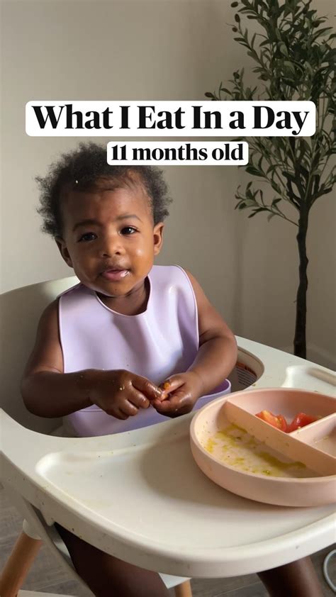 Can Babies Eat Food Cooked With Wine
