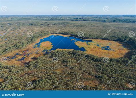 Swamp Aerial View 的图像结果