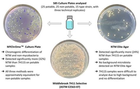 A Comparison of Three Culture Media for the Detection of Rapid-Growing ...