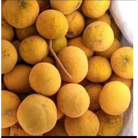 Image result for Kuning Kecapi