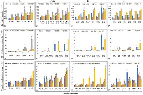 Individual and Interactive Effects of Nitrogen and Phosphorus on ...