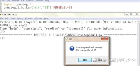 Pyautogui Library 的图像结果