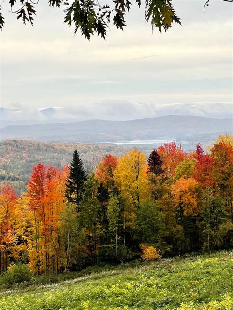 VT Green Mountain Cabin on Hill- Fall Foliage - Houses for Rent in ...