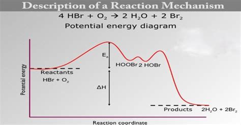 Image result for Reaction Mechanism