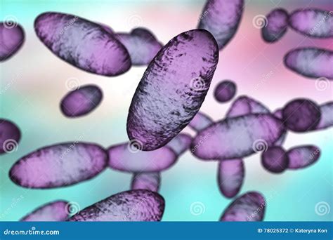 Yersinia Pestis Bacteria Characteristics