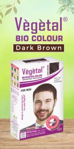 Vegetal Safe Hair Color -Soft Black 25gm - Certified Organic Chemical ...