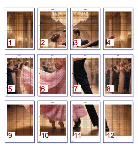 Image result for Woolshed Waltz Tutorial