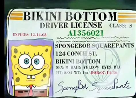 Spongebob Squarepants Driver License Air Freshener at Edna Collier blog