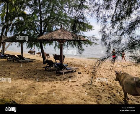 Phu quoc scenery hi-res stock photography and images - Alamy
