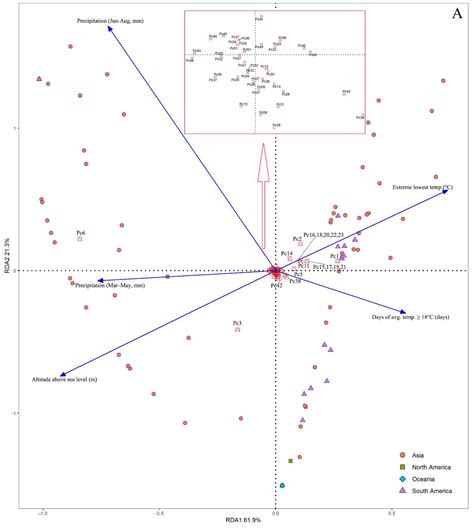 Genetic Diversity of Two Globally Invasive Snails in Asia and Americas ...