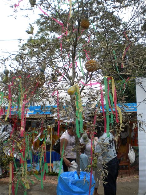 Adventures in Nicaragua: Bluefields and Palo de Mayo