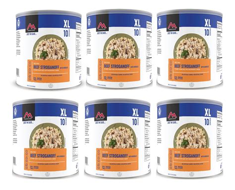 Mountain House Beef Stroganoff #10 Can Freeze Dried | Ubuy India