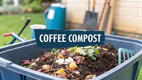 Your Guide to Composting Coffee Grounds at Home