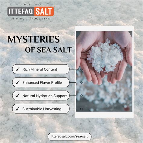 Where Does Salt Come From