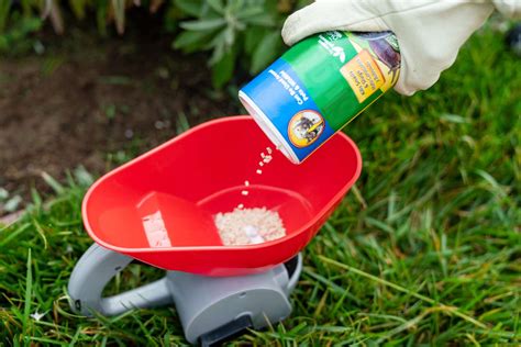 Image result for Homemade Slug Control