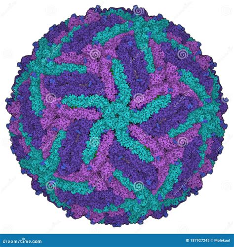 Zika Virus. Atomic Level Structure, Determined by Cryo-EM. Causes Zika Fever. Zika Fever in ...