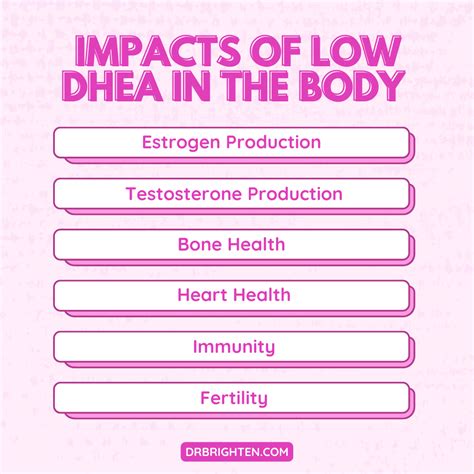 What Does DHEA Do And When Should You Take It?
