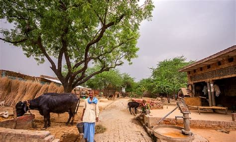 In Order To Uplift The Lifestyle Of Rural India, NRIs Based In US Will ...