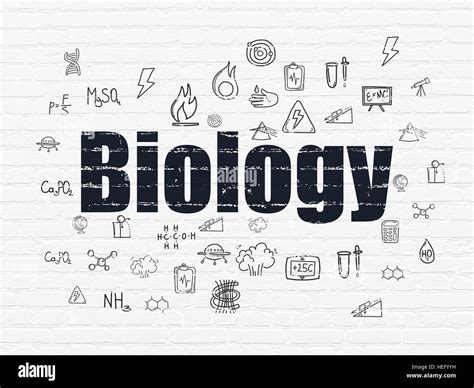 Biology Background 的图像结果