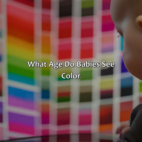 What Color Are Bats - colorscombo.com