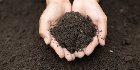 Image result for Soil Testing for Load Capacity