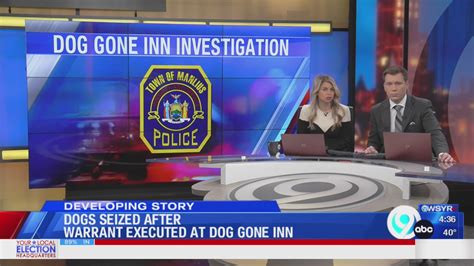 Police seize dogs from Dog Gone Inn in Manlius – WSYR
