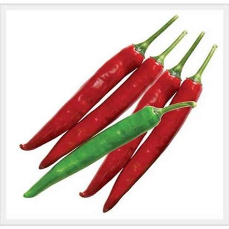 Agriculture Seeds 的图像结果