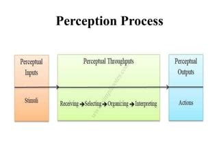 Image result for Understanding Perception