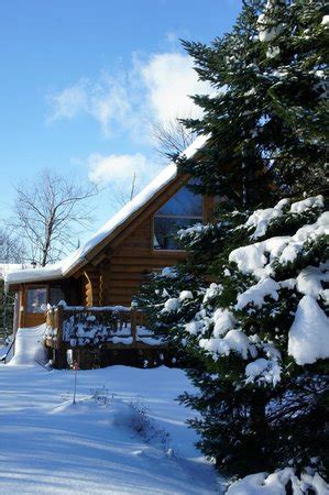 BIJOU DANS LA FORET (Magog, Quebec) - Guesthouse Reviews & Photos ...