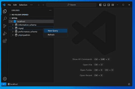 Visual Studio Code Display MySQL 的图像结果