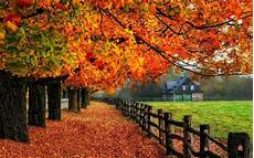 Autumn Wallpaper by Autumn Wallpaper Exles For Your Desktop Background Autumn Wallpaper
