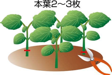 RPGLE Embeded SQL Tutorials Free 的图像结果