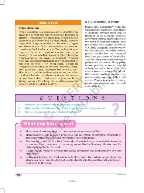 Class 10 Science Chapter 6 All Processes 的图像结果