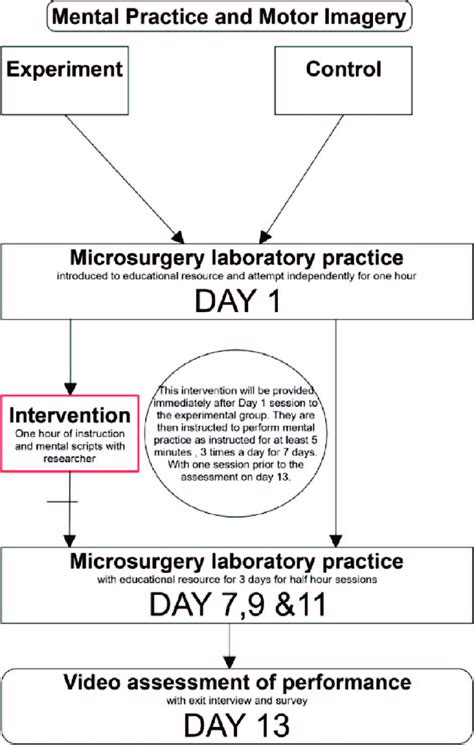 Pilot experiment Purpose 的图像结果