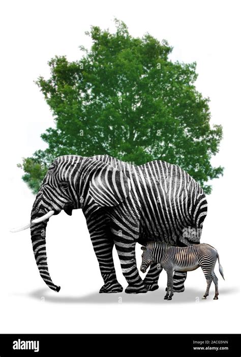 Image result for Genetic Programming Creatures